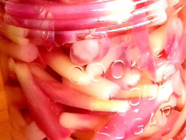 すべての花の画像 50 ミョウガ 茎 すべての花の画像 50 ミョウガ 茎