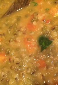 お腹に優しいインド風緑豆スープ ダール
