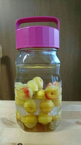梅酒アレンジ② はちみつ梅酒