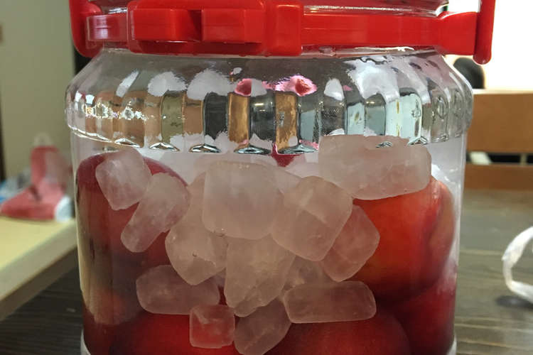 我が家のすもも酒 レシピ 作り方 By Rizuのごはん クックパッド