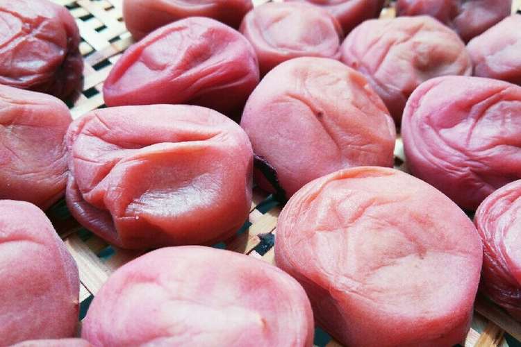 完熟 梅干し 作り方 お漬物レシピ 完熟梅で作るおいしい梅干 漬けるドットコム