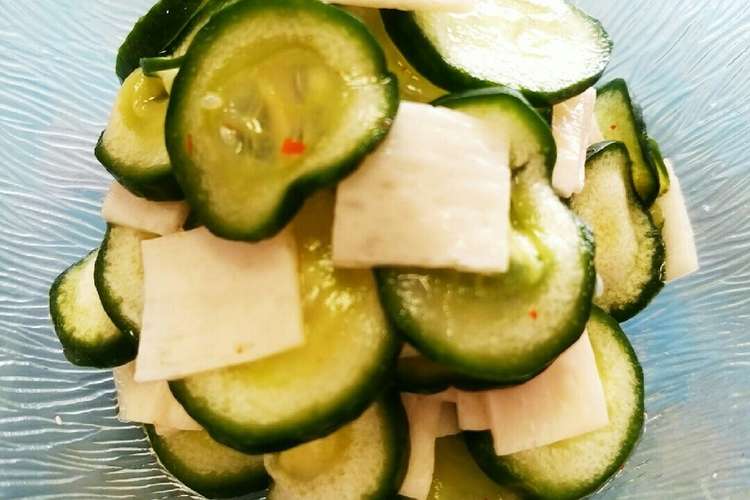 よっちゃんイカとキュウリの酢の物 レシピ 作り方 By 狐ト白ノ曼珠沙華 クックパッド 簡単おいしいみんなのレシピが374万品