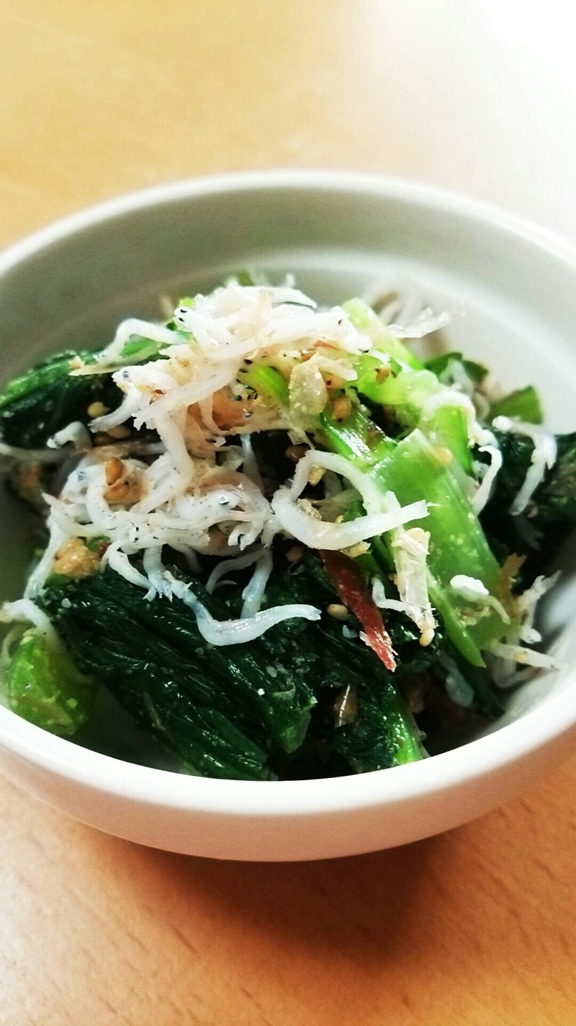 簡単！小松菜とちりめんの和え物の画像