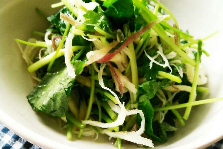 うま味たっぷり香味野菜のおつまみサラダ レシピ 作り方 By グニュウ クックパッド 簡単おいしいみんなのレシピが352万品