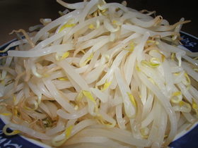 水から茹でる!歯ざわりシャキシャキもやし