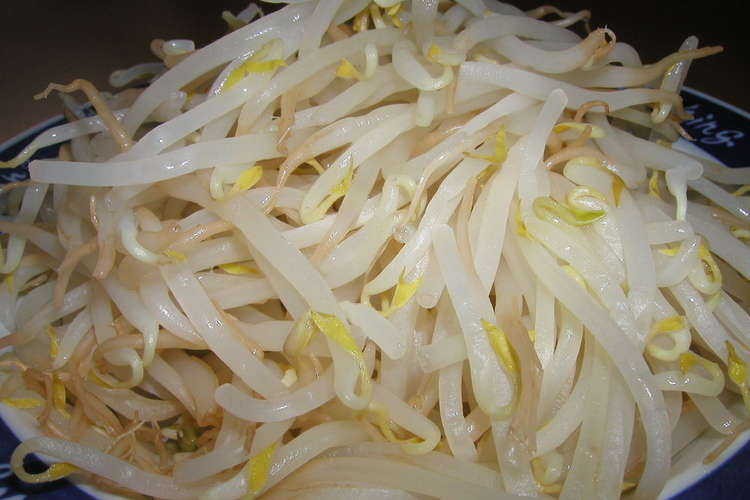 水から茹でる 歯ざわりシャキシャキもやし レシピ 作り方 By ちっくんママ クックパッド 簡単おいしいみんなのレシピが359万品