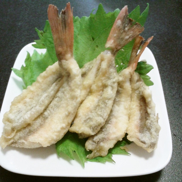 愛知の魚100選 ホウボウの天ぷら レシピ 作り方 By 黒鯛チヌ子 クックパッド