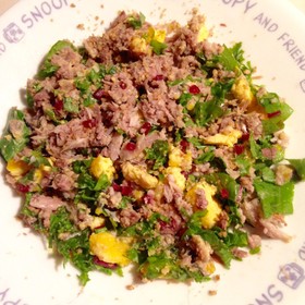 愛莉のごはん 猫めし イワシと野菜