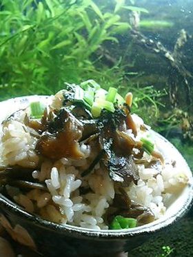 みんなきっと好きになる♪舞茸の混ぜご飯