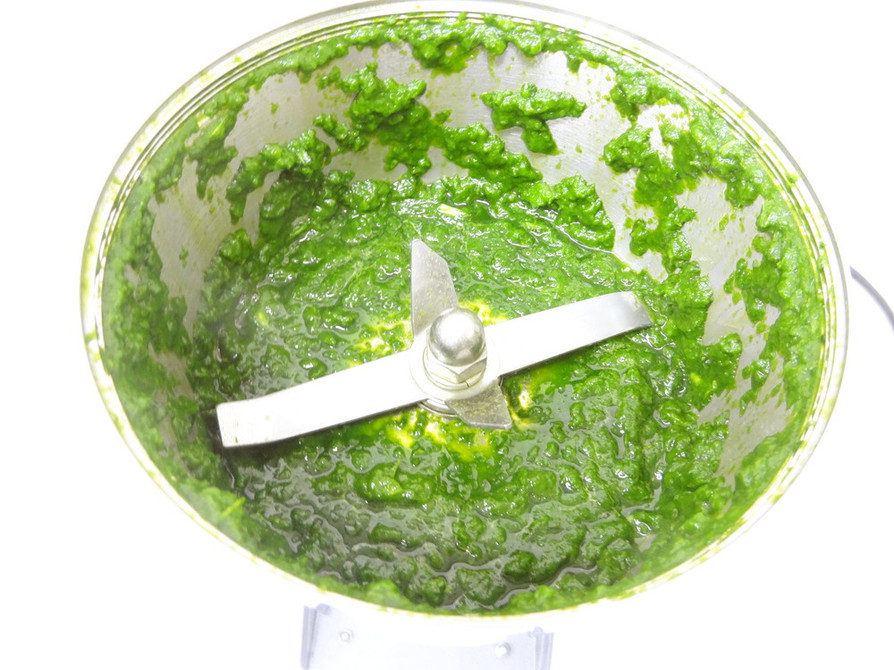 微粉砕機で野菜ペースト（ほうれん草）作りの画像