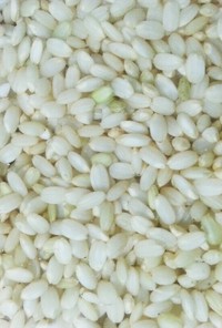 ヨーグルトメーカーで発芽玄米