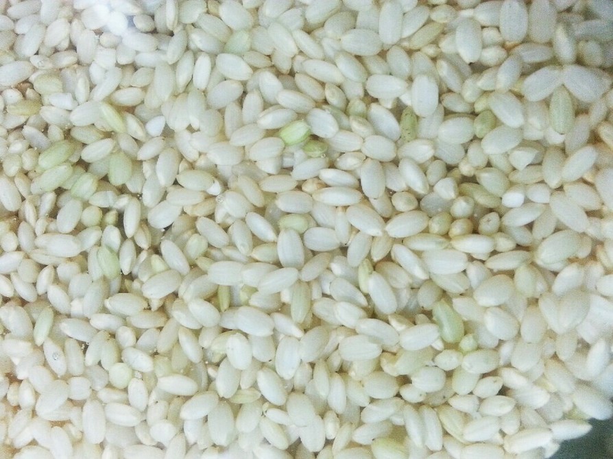 ヨーグルトメーカーで発芽玄米
