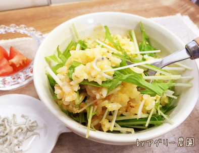 水菜のせ♪豆腐とじゃこのヘルシー卵ご飯！の写真