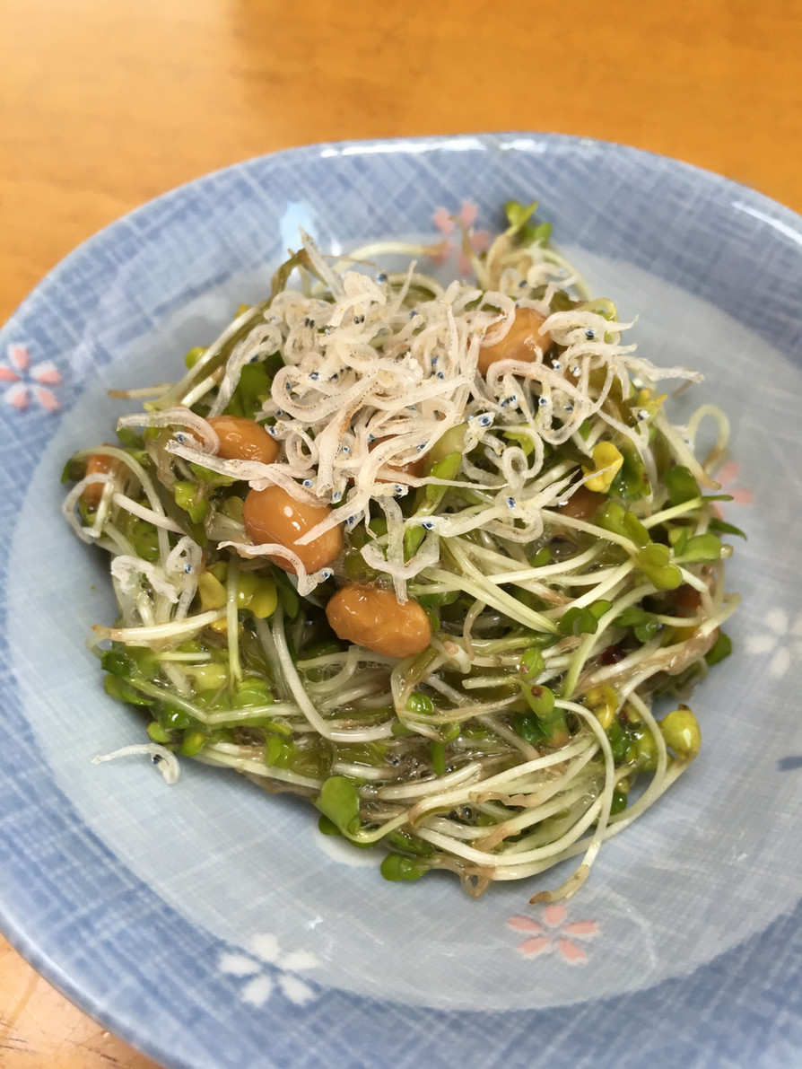 納豆とめかぶのネバネバスプラウトサラダ♡の画像