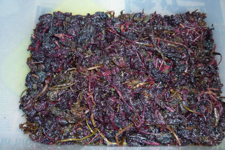 赤紫蘇の塩漬け レシピ 作り方 By Aranjuez5 クックパッド 簡単おいしいみんなのレシピが365万品