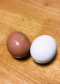 ゆで卵・半熟卵・味付卵（水・湯対応）