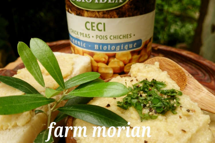 クセになるおいしさ ひよこ豆のフムス レシピ 作り方 By もりあん農園 クックパッド 簡単おいしいみんなのレシピが363万品