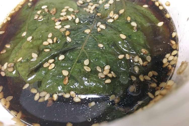 青じそのにんにく醤油漬け レシピ 作り方 By Yurayura クックパッド 簡単おいしいみんなのレシピが357万品