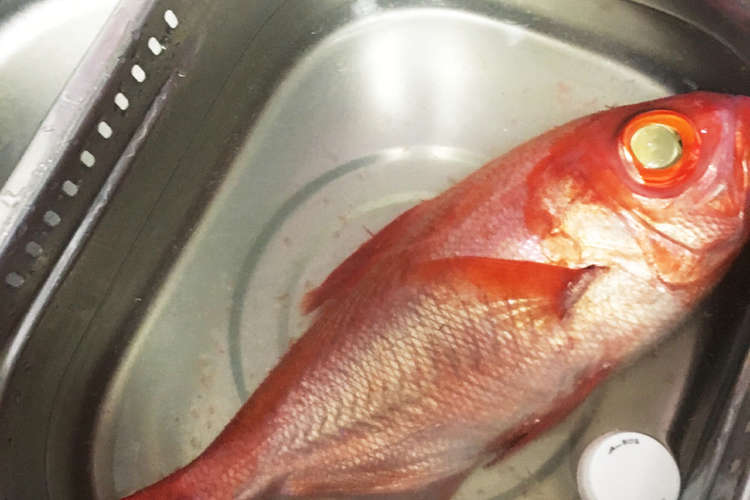 超簡単 魚の鱗取り 飛び散らないの レシピ 作り方 By Xxはなこxx クックパッド 簡単おいしいみんなのレシピが368万品