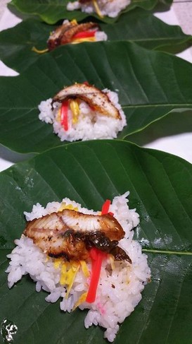 朴葉寿司 鰻入り