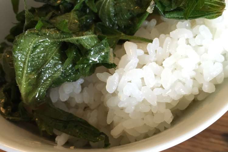 魅惑の合法ハーブ Shiso レシピ 作り方 By うちキッチン クックパッド