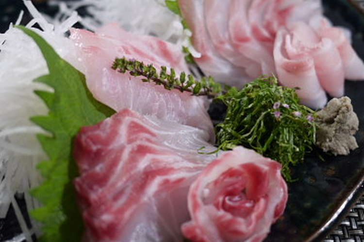 魚を捌こう！石鯛・石垣鯛の刺身編