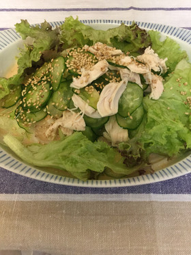 鶏ササミのゴマだれサラダうどん*