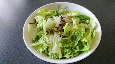 白菜と塩昆布の簡単サラダの写真
