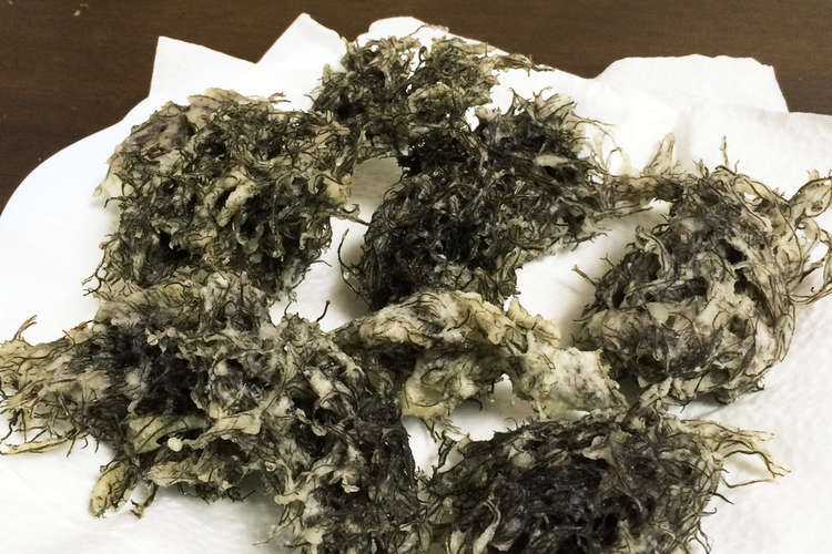 ふのりの天麩羅 レシピ 作り方 By 汰ぁchan クックパッド 簡単おいしいみんなのレシピが356万品