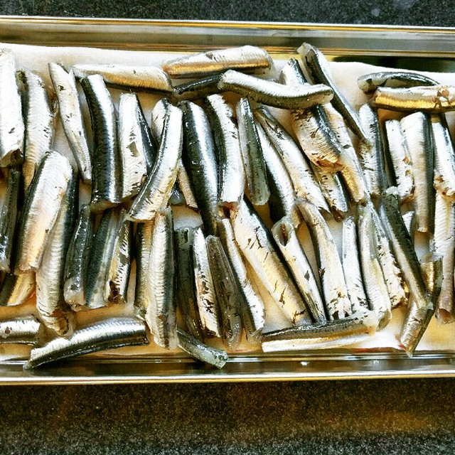 ひと手間で調理は楽 小イワシの下処理方法 レシピ 作り方 By 悠美姉 クックパッド 簡単おいしいみんなのレシピが360万品 ひと手間で調理は楽 小イワシの下処理方法 レシピ 作り方 By 悠美姉 クックパッド 簡単おいしいみんなのレシピが360万品