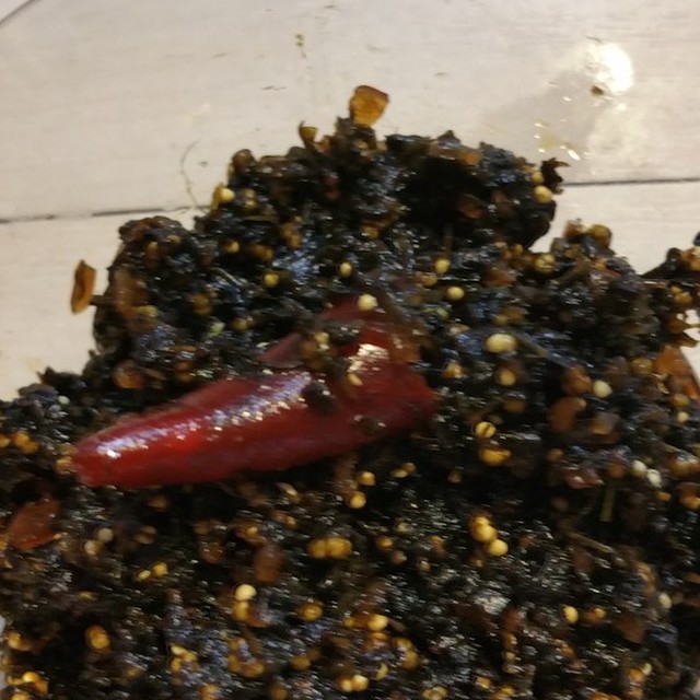 紫蘇の実と生姜の佃煮 レシピ 作り方 By 水玉 金魚 クックパッド 簡単おいしいみんなのレシピが359万品