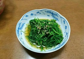 簡単美味しい!おかひじきのおひたし
