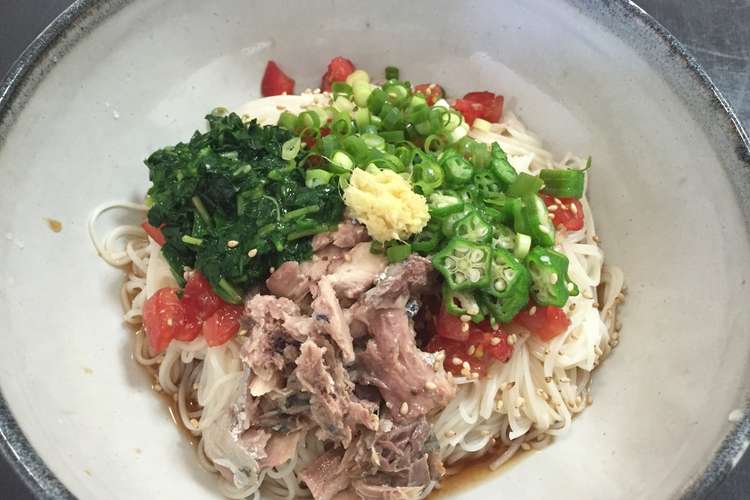 鯖の水煮缶でぶっかけそうめん レシピ 作り方 By Kapipala クックパッド 簡単おいしいみんなのレシピが354万品