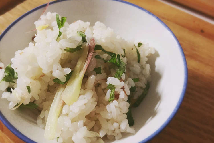夏にさっぱり 薬味ごはん レシピ 作り方 By あか裡 クックパッド 簡単おいしいみんなのレシピが352万品
