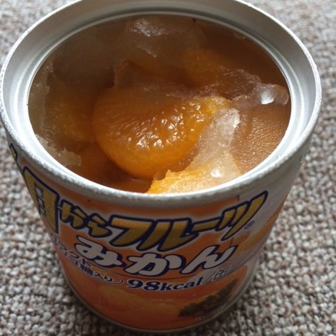 冷凍みかん缶