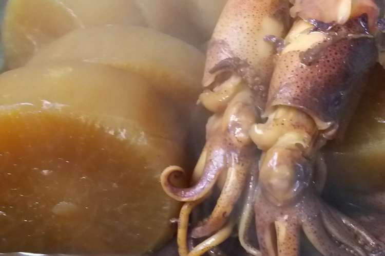 ヒイカで和食 レシピ 作り方 By ネネキラ クックパッド 簡単おいしいみんなのレシピが364万品