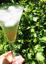 みんなが作ってる 青しそジュースのレシピ クックパッド 簡単おいしいみんなのレシピが351万品