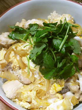 ガーコさんの親子丼:時短簡単なのに美味!