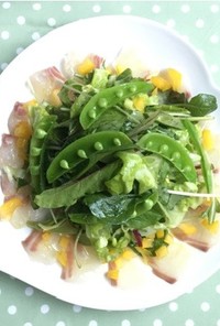 野菜たっぷり☆カルパッチョサラダ