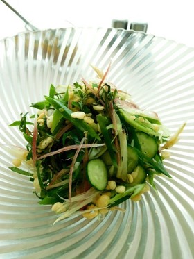 しょうがドレッシングで九条ネギのサラダ