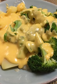 ジョンのチキンナチョワンポットのレシピ