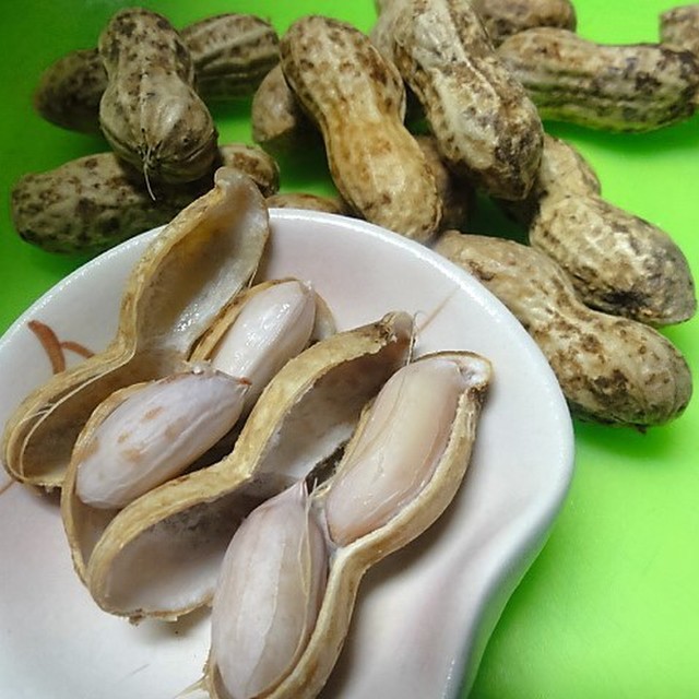 生の殻付き落花生の茹で方 レシピ 作り方 By Yamabuki1 クックパッド 簡単おいしいみんなのレシピが368万品 生の殻付き落花生の茹で方 レシピ 作り方 By Yamabuki1 クックパッド 簡単おいしいみんなのレシピが368万品