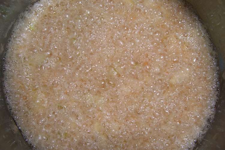 楽健寺酵母 自家製酵母 野菜酵母 レシピ 作り方 By Sanaemann クックパッド 簡単おいしいみんなのレシピが355万品