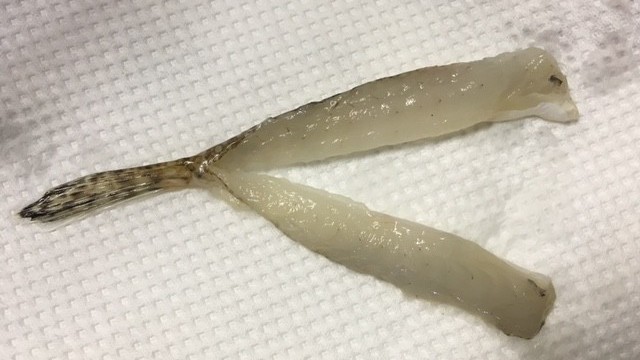 メゴチのさばき方 天ぷら 唐揚げ用 レシピ 作り方 By 岡山県漁協女性部 クックパッド 簡単おいしいみんなのレシピが354万品
