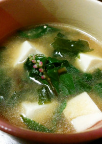 THE MISO SOUP