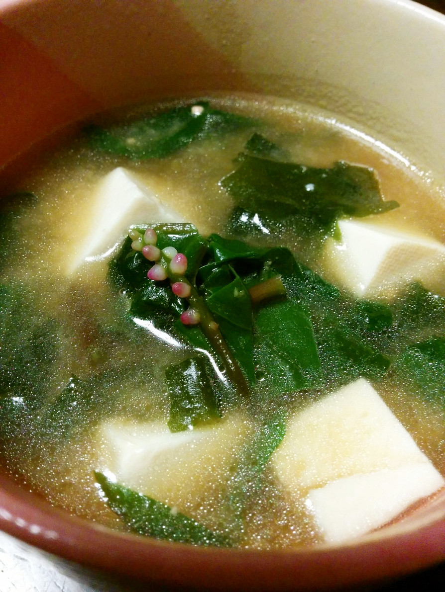 THE MISO SOUPの画像
