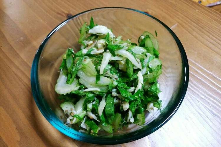 簡単 セロリとさきイカのサラダ レシピ 作り方 By ｹﾝﾎﾟｺ クックパッド 簡単おいしいみんなのレシピが356万品