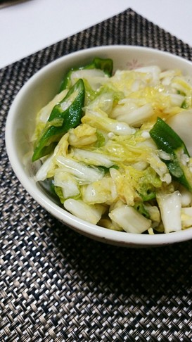 白菜とオクラの簡単ネバネバ浅漬け
