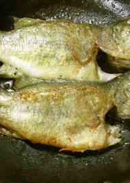 みんなが作ってる ブラックバスのレシピ クックパッド 簡単おいしいみんなのレシピが352万品