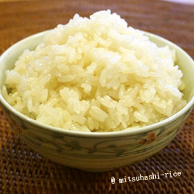 【炊飯器で炊く】 もち米の炊き方